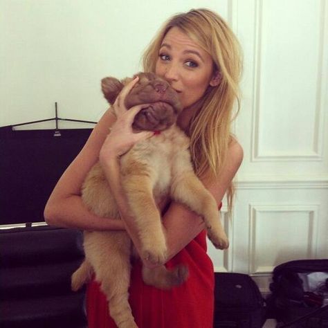 blakelively<3 Blake Lively Dog, Black Lively, Age Of Adaline, Ballerina Bun, Blake Lively Style, Perfect People, Beauty Favorites, Blake Lively, Inspirational People