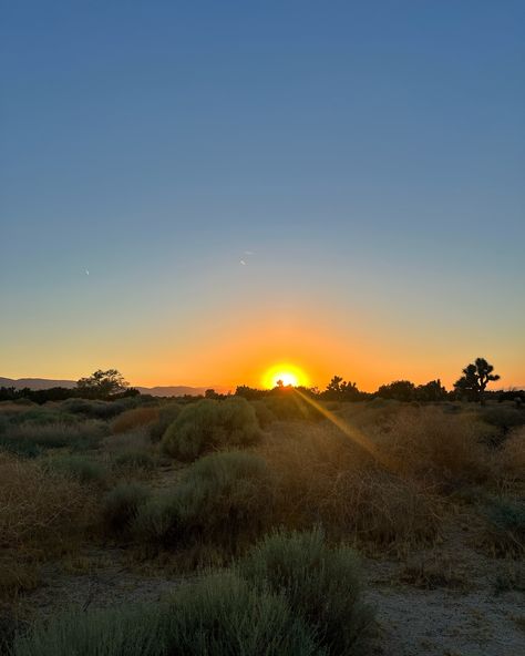 Desert hiking Adventures Hiking Desert, Desert Hiking, Hiking Adventures, 2025 Vision, Vision Board, Hiking, Quick Saves