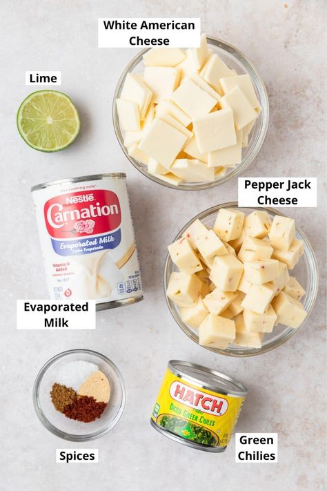 Crockpot White Queso Dip, Crockpot White Queso, White Queso Dip Recipe, Queso Dip Recipe, White Queso Dip, White Queso, Queso Dip Recipes, Dip Recipes Easy, Queso Dip