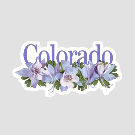 colorado rocky mountain columbine state flower sticker Colorado Drawing, Colorado State Flower, Living In Colorado, Sticker Ideas, Get A Tattoo, Love Painting, Rocky Mountain, 2024 Vision Board, Rocky Mountains