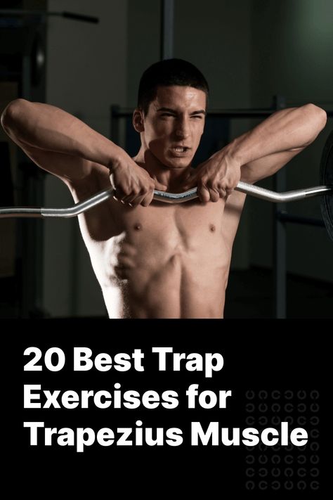 Do you want to know how to build huge traps? In this article, we're going to be looking at how to perform the 20 best trap exercises with perfect training techniques. But before we get into the proper form itself, let's have a quick look at trap anatomy. Let’s get started.    Anatomy of the Traps: Lower Trap Exercises, Trap Exercises, Best Trap Exercises, Trapezius Muscle, Traps Muscle, Traps Workout, T Bar Row, Barbell Row, Face Pulls