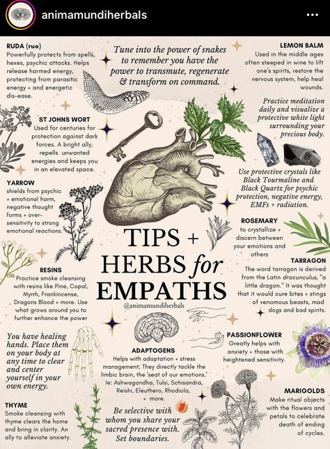 Transmutation Herbs, Apothecary For Beginners, Herb Knowledge, Beauty Herbs, Herbs For Women, Magickal Herbs, Witch Herbs, Medical Herbs, Magia Das Ervas