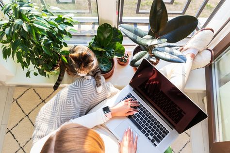 A photo of a woman working asynchronously with her cat and plants People Photos, Remote Workers, Filing Taxes, Flexible Working, Remote Jobs, Job Opening, Job Seeker, Home Jobs, Instagram Tips