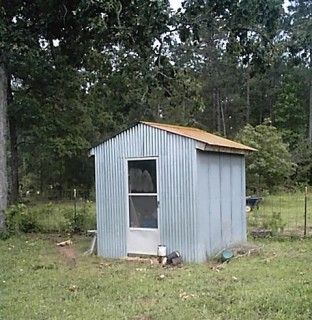 Converting a shed to a greenhouse Shed Into Greenhouse, Shed To Greenhouse, Metal Shed, Old Windows, Great Ideas, Building A House, Shed, I Want, Yard