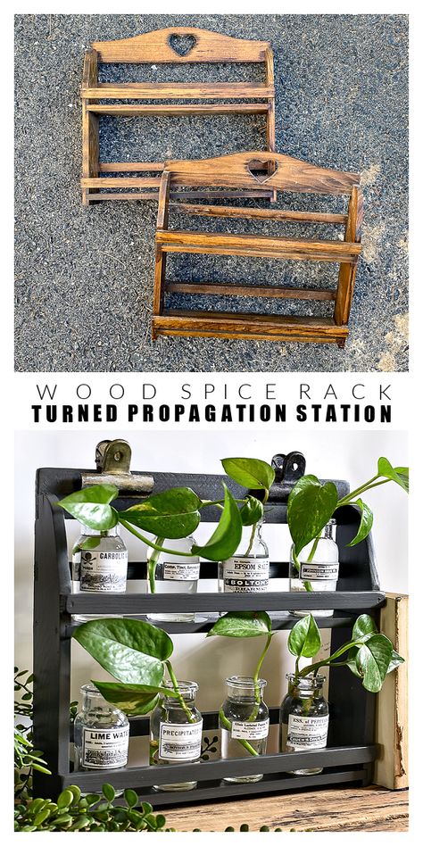 Plant Propagation Display, Cute Propagation Ideas, Propagating Station Ideas, Repurposed Spice Rack, Vintage Spice Rack Makeover, Dollar Tree Propagation Station, Diy Thrift Store Finds, Propagating Station Diy, Propagation Jars Diy