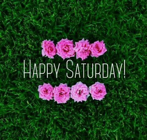 Happy Saturday Flowers Image good morning saturday saturday quotes good morning… Happy Saturday Quotes, Saturday Greetings, Saturday Images, Happy Quotes Funny, Days Of The Week Quotes, Saturday Quotes, Good Morning Saturday, Happy Weekend Quotes, Week Quotes