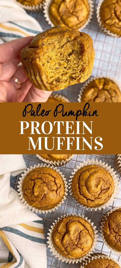 These paleo pumpkin protein muffins are moist, fluffy and low in sugar. They're made with Cassava Flour, pea protein and pumpkin puree. This pumpkin protein muffin recipe makes for a great breakfast, lunch addition or post workout snack. #pumpkinmuffins #proteinmuffins #lowsugarmuffins Protein Muffins Recipes, Gluten Free Protein Muffins, Pumpkin Protein Muffins, Paleo Pumpkin Muffins, High Protein Muffins, Protein Powder Pancakes, Pumpkin Protein, Paleo Protein, Pumpkin Recipes Easy