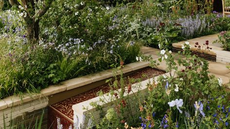 All the medal winners from the 2022 Chelsea Flower Show | House & Garden Keystone Species, Chelsea Garden, About Plants, Blue Garden, Container Gardens, Chelsea Flower, Chelsea Flower Show, The Balcony, Flower Show