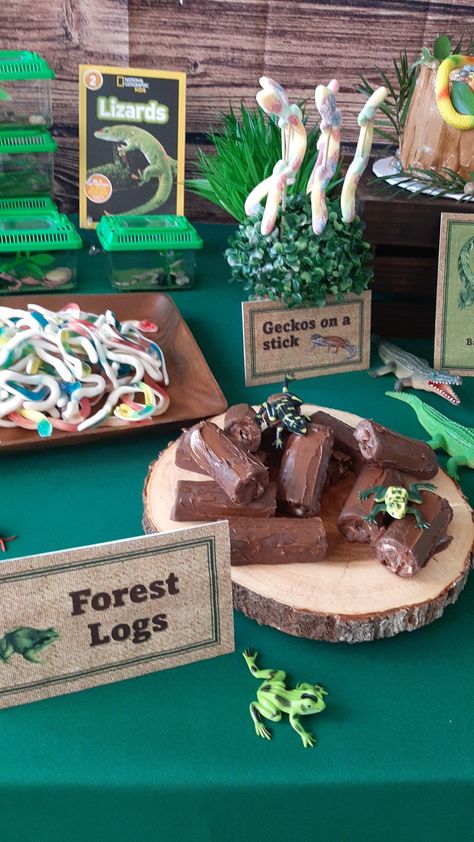 Reptile Bday Party Ideas, Rainforest Party Ideas, Jumanji Party Ideas, Reptile Zoo Birthday Party, Reptile Party Cake, Outback Themed Birthday Party, Gecko Party Ideas, Reptile Food Party Ideas, Reptile Bday Party