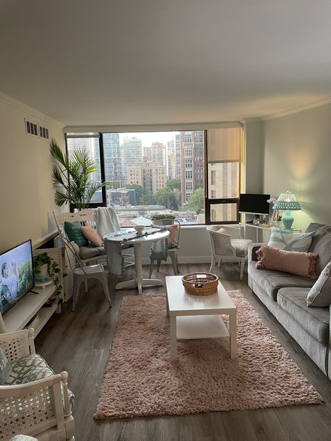 Seattle Apartment Decor, Chicago Apartment Living Room, Living Room Decor University, Detroit Apartment Aesthetic, Washington Apartment Aesthetic, Boston Apartment Aesthetic Bedroom, Old Lady Apartment, Philadelphia Apartment Aesthetic, Med School Apartment