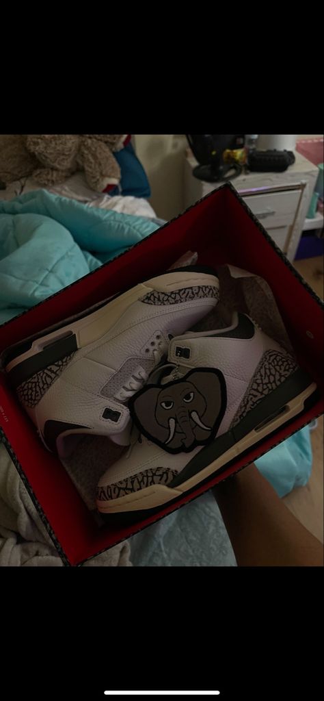 5.5 Hide N Sneak Jordan 3 Outfit, Jordan 3 Outfit, Hide N Seek, Hide And Seek, Jordan 3, Christmas List, Jordan, Girl Outfits, Grey