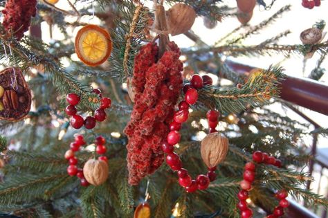 Christmas Tree With Decorations, Sustainable Christmas Decorations, Outdoor Christmas Tree Decorations, Natural Ornaments, Homemade Bird Feeders, Outdoor Christmas Tree, Outdoor Trees, Garden Christmas, Xmas Tree Decorations