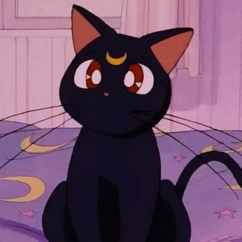 Usagi Luna, Cat Anime, The Number 1, Anime Profile, Number 1, Sailor Moon, Black Cat, Moon, Anime