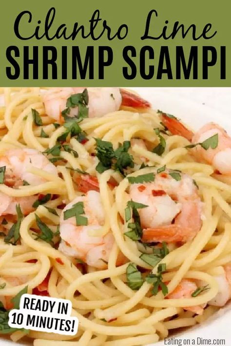 Cilantro Shrimp, Lime Shrimp Recipes, Easy Shrimp Scampi, Seafood Dinner Recipes, Cilantro Lime Shrimp, Shrimp Scampi Recipe, Seafood Recipe, Scampi Recipe, Lime Shrimp