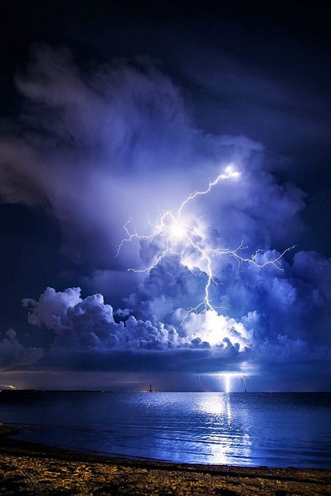 Lightning strikes over Clearwater, Florida - USA Lightning Images, Pictures Of Lightning, Lightning Photos, Blue Aesthetics, Lightning Cloud, Lightning Photography, Purple Lightning, Storm Photography, Thunder And Lightning