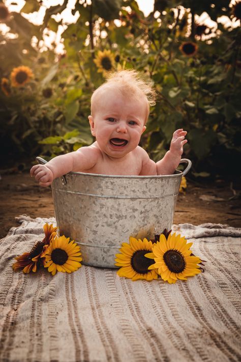 Sunflower Milestone Pictures, One Year Old Sunflower Birthday, Farm One Year Old Pictures, Sunflower One Year Old Pictures, Infant Sunflower Photoshoot, Pictures With Sunflowers, 2nd Birthday Photos, 6 Month Baby Picture Ideas, Sunflower Photo