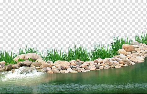 Background Design Landscape, Lake Plants, Poster Editing, Grass Png, Plants With Pink Flowers, Plants Landscape, Nature Desktop, Grass Painting, Photoshop Backgrounds Free