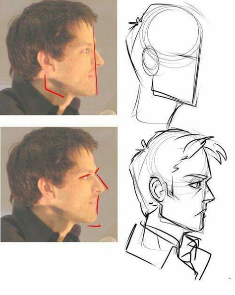 Face head profile Breast Reference, رسم كاريكاتير, 얼굴 드로잉, 얼굴 그리기, Sketch Pad, Anatomy Drawing, Guided Drawing, Reference Poses, Anatomy Art