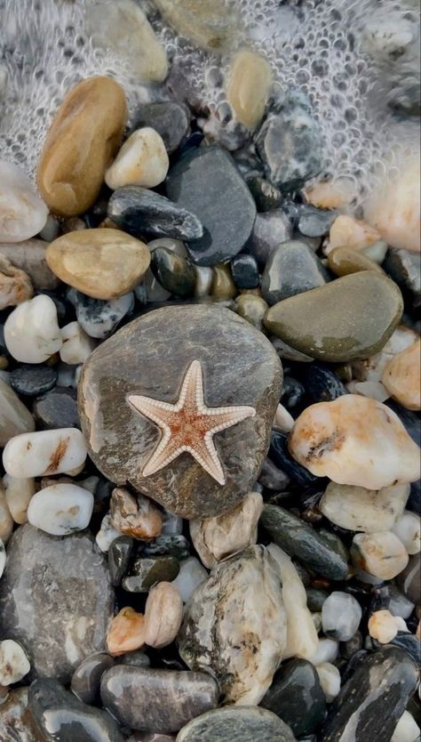 Beach Wallpaper Aesthetic, Shells Beach, Rocky Beach, Wallpaper Ipad, Ocean Wallpaper, Beach Wallpaper, Tumblr Wallpaper, Sea And Ocean, Nature Aesthetic