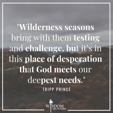 Wilderness Seasons Wilderness Season God, Wilderness Scripture, Wilderness Season, Jesus In The Wilderness, Wilderness Quotes, Bible Quotes Healing, Bible References, Letterboard Quotes, Quotes Healing