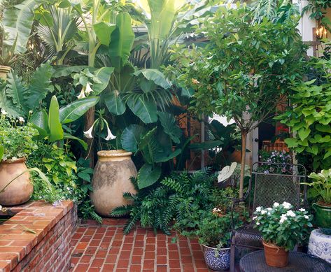 Small Patio Decor, Garden Tropical, Small Yard Landscaping, Small Garden Landscape, Small Courtyard Gardens, Small Vegetable Gardens, Tropical Backyard, Courtyard Gardens Design, Small Courtyards