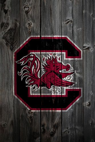 South Carolina Gamecocks Wood iPhone 4 Background | Flickr - Photo Sharing! Gamecocks Wallpaper, Gamecock Nails, South Carolina Gamecocks Football, South Carolina Football, Gamecock Nation, Gamecocks Logo, Gamecocks Football, Go Gamecocks, Usc Gamecocks