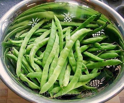 Cooking Pole Beans, New Southern Style | Drick's Rambling Cafe How To Cook Fresh Pole Beans, How To Cook Pole Beans, Pole Bean Recipes, Pole Beans Recipe, Country Food Recipes, Peas Recipes, Green Bean Recipe, Beans In Crockpot, Country Food