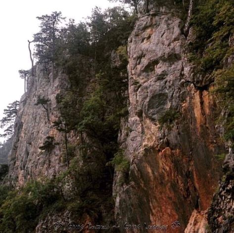 Petrified Giants, Assos Kefalonia, Nephilim Giants, Giant Boulder, Star Fort, Before The Flood, Hidden History, Rock Sculpture, Giant Tree