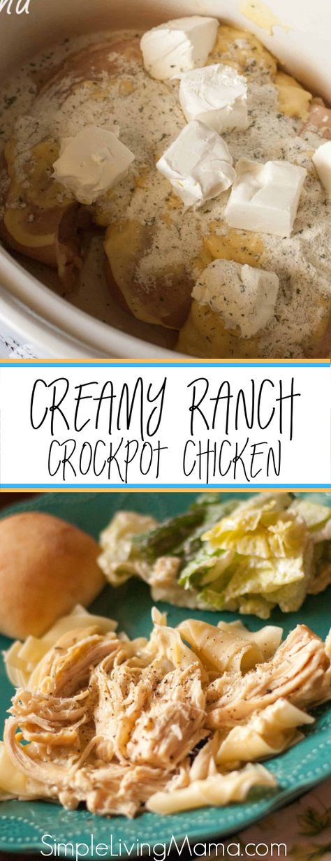 Crock Pot Creamy Ranch Chicken, Ranch Chicken Crockpot, Creamy Ranch Chicken, Ranch Packet, Creamy Ranch, Cream Cheese Chicken, Crockpot Dishes, Ranch Chicken, Cream Cheese Recipes