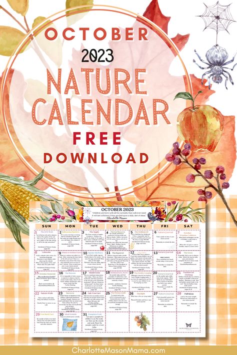 Explore nature with daily ideas! October Activity Calendar, Books And Nature, October Pictures, Benefits Of Homeschooling, World Where There Are Octobers, Nature Calendar, Teaching Character, October Activities, L M Montgomery