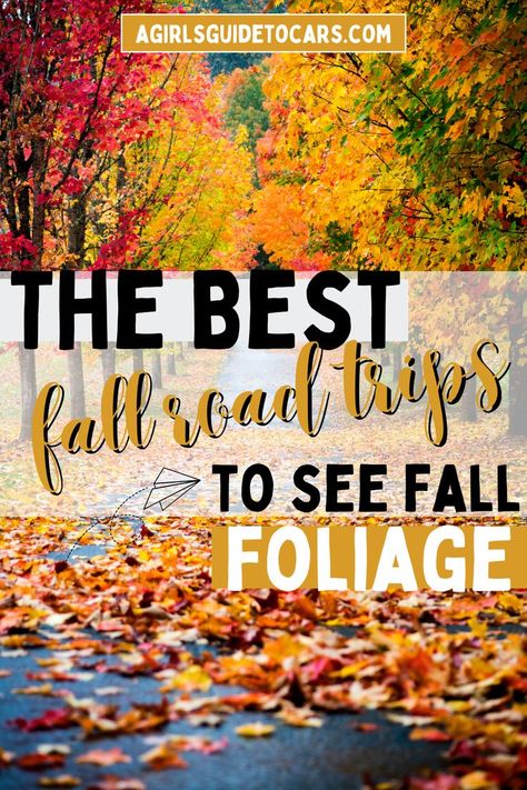 fall foliage Fall Foliage Trips, Fall Foliage Road Trips, Best Weekend Trips, Fall Road Trip, Autumn Foliage, Road Trip Hacks, Fall Travel, Road Trip Fun, Hit The Road