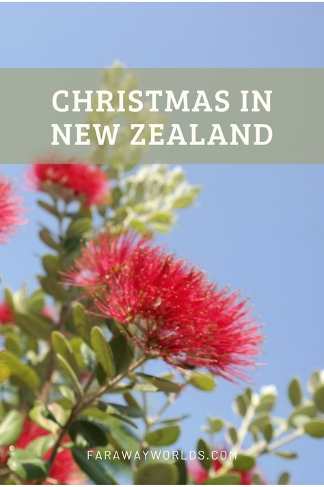 Every wondered what a summer time Christmas is like? Here's a hint of what to expect if your travels take you to New Zealand around the festive season. Christmas In New Zealand, Nz Christmas, Kiwi Christmas, Xmas Poster, New Zealand Christmas, Christmas In Australia, Christmas Service, Visit New Zealand, Christchurch New Zealand