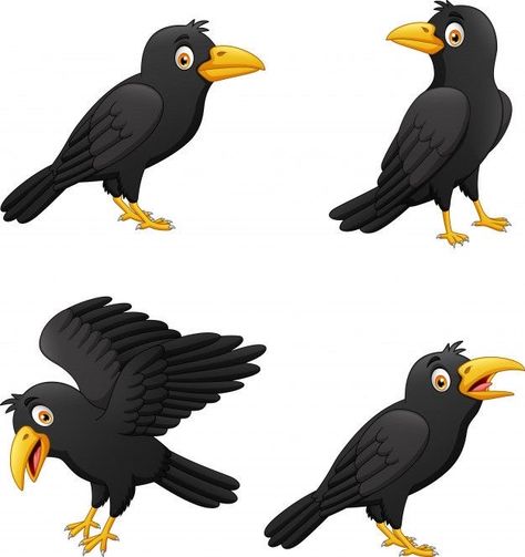 Crow Cartoon Character Design, Crow Cartoon Drawing, How To Paint A Crow, Black Bird Drawing, Crow Cartoon, Crow Character, Cartoon Crow, Crow Illustration, Crow Drawing