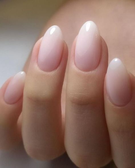 Ombré French Tip Oval, Rounded Ombre Nails, Natural Ombre Almond Nails, Ombre French Tip Nails Oval, French Ombre Oval Nails, Ombré Light Pink Nails, Short Oval Ombre Acrylic Nails, Ombre French Round Nails, French Ombre Nails Almond Wedding