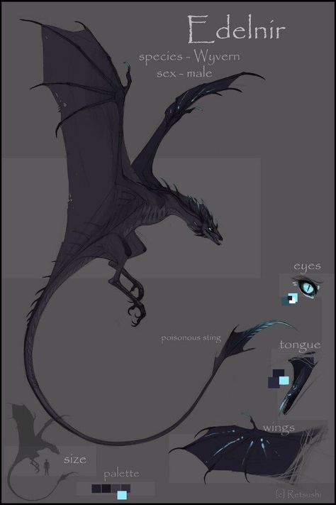 Wyvern Fantasy Art, Wyvern Oc, Wyrm Dragon, Wyvern Dragon, Dragon Man, Long Dragon, Dragon Riders, Mythical Monsters, Dragon Artwork Fantasy