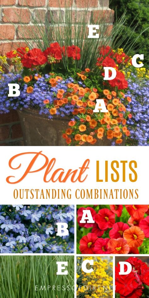 Plant lists for beautiful patio containers. Image by Proven Winners. Evergreen Herbs, Gemüseanbau In Kübeln, Proven Winners Plants, Porch Flowers, Container Garden Design, Container Gardening Flowers, Patio Planters, Proven Winners, Beautiful Patios