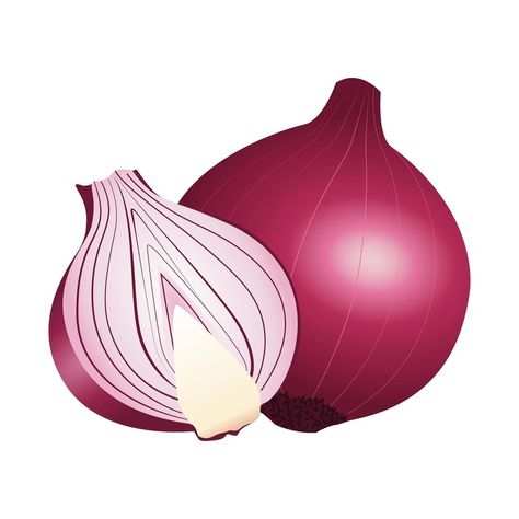 fresh onion healthy vegetable icon Onion Image, Onion Clipart, Onion Cartoon, Onion Pictures, Onion Drawing, Onion Bulbs, Healthy Vegetable, Cute Cartoon Images, Light Background Images