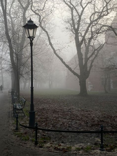 Dark Autumn, Aesthetic Fall, Season Of The Witch, The Secret History, Foto Ideas Instagram, Academia Aesthetic, Best Seasons, Winter Aesthetic, Autumn Aesthetic