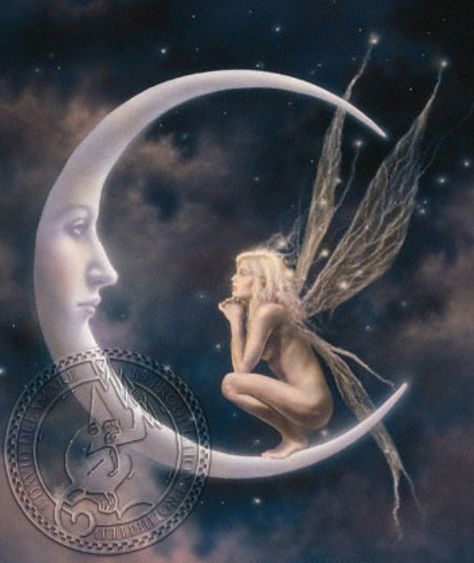 No face on moon Fairies Photos, Moon Fairy, Fairy Dragon, Fairy Pictures, Fairy Artwork, Fairy Tattoo, Fairies Elves, Fairy Magic, Beautiful Fairies