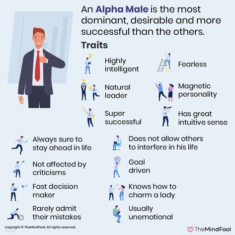 Alpha Male Characteristics, How To Be Mysterious, Alpha Male Quotes, Male Quotes, Be An Alpha, Alpha Male Traits, Writing Traits, Masculine Traits, Dan Humphrey