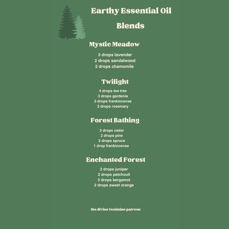 Essential Oil Blends 🌿 Some blends I’ve created that you can use for aromatherapy. Some ways you can use essential oils are in.. diffusers, for creating oils, adding in lotions or directly onto pulse points with caution, etc! I’ve posted lots of essential oils over on Patreon so definitely get check them out! ✨🌙 Shop our metaphysical shop through the link in bio 🍂🍁 #aromatherapy #witch #witchy #essentialoils Witchy Oil Blends, Panaway Essential Oil Recipe, Dark Academia Diffuser Blend, Fantasy Essential Oil Blends, Dark Academia Essential Oil Blends, Dark Academia Essentials, Aura Cacia Essential Oils Recipes, Mahogany Teakwood Essential Oil Blend, Cypress Diffuser Blends