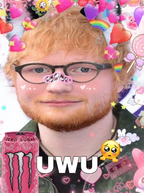 Uwu Ed Sheeran, Goofy Ed Sheeran, Ed Sheeran Cursed, Ed Sheeran Funny, Bread Sheeran, Egg Sheeran, Ed Sheeran Memes, Ed Sheeran Love, Kawaii Chan