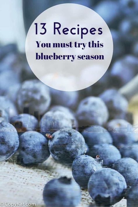 13 Fresh Blueberry Recipes You Must Try Blueberry Cream Cheese Pie, Fresh Blueberry Recipes, Healthy Blueberry Recipes, Basil Smoothie, Blueberry Desserts Recipes, Healthy Slow Cooker Recipes, Blueberry Salad, Blueberry Season, Gluten Free Salads