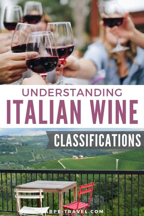 Traveling To Italy, Wine Teacher, Italy Wine, Wine Tasting Party, Wine Guide, Culinary Travel, Italy Travel Guide, Wine Travel, Wine Pairing