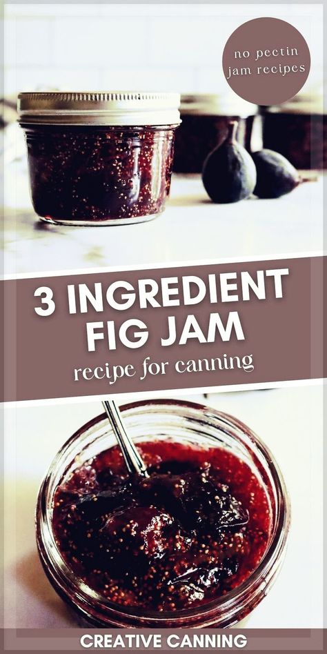 Canning Fruit Recipes, Fig Jelly, Grape Jam Recipe, Fig Preserves Recipe, Homemade Fig Jam, Refrigerator Jam, Fig Jam Recipe, Canning Fruit, Home Canning Recipes