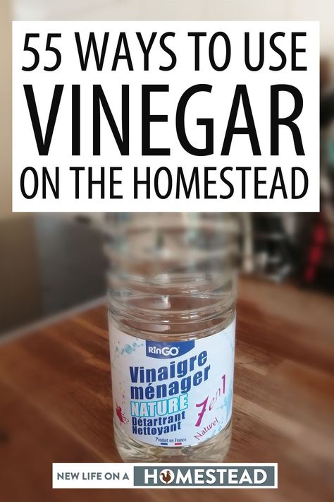 Uses For White Vinegar, Uses For Vinegar, Accessory Closet, Messy Home, Accessories Closet, Organization Accessories, Accessory Organizer, Vinegar Uses, Diy Cleaning Solution