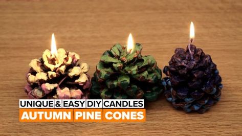 Easy Homemade Candles, Easy Diy Candles, Cone Candles, Candles Autumn, Dinner In The Sky, Diy Candles Easy, Fancy Candles, Wax Candles Diy, Seashell Candles