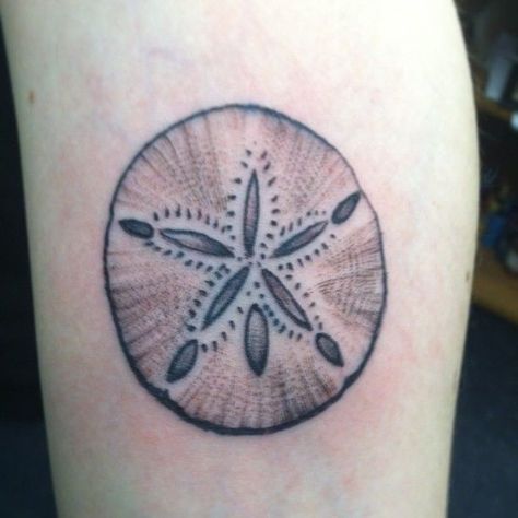 Tropical Tattoos, Sand Dollar Tattoo, Dollar Tattoo, Beach Tattoos, Starfish Tattoo, Tropical Tattoo, Seashell Tattoos, Shell Tattoos, Sea Tattoo