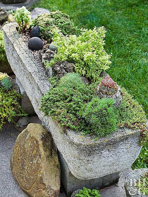 Hypertufa Trough, Garden Troughs, Stone Planter, Creative Garden Decor, Concrete Garden, Garden Containers, Unique Gardens, Flowers Wallpaper, Succulents Garden