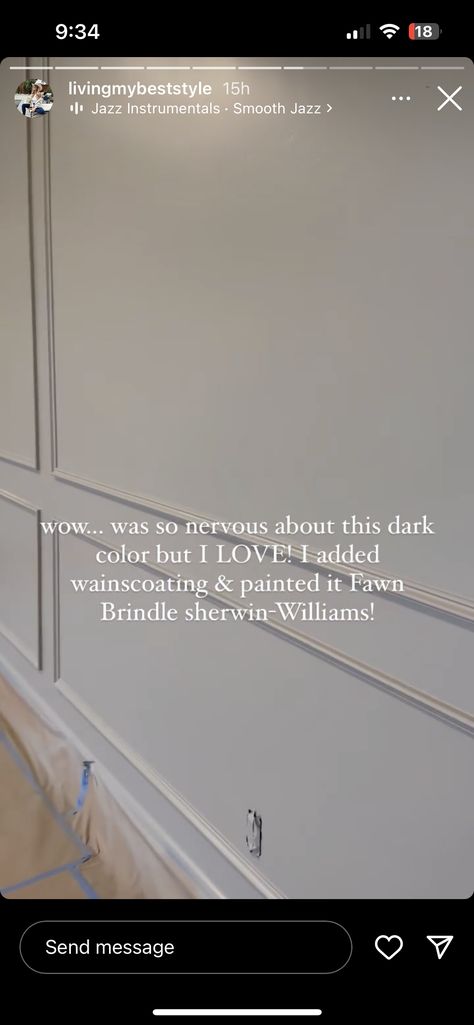 Brindle Fawn Sherwin Williams, Fawn Brindle Sherwin Williams, Sherwin Williams Fawn Brindle, Closet Paint, Fawn Brindle, Painted Closet, Renovation Ideas, Bathroom Cabinets, Paint Furniture